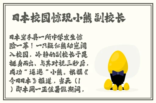 中国大肥胖VPSWINDOWS